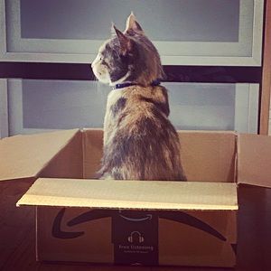 Meet your Posher, Day